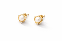 Load image into Gallery viewer, Alba Dorata