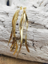 Lade das Bild in den Galerie-Viewer, Esotico